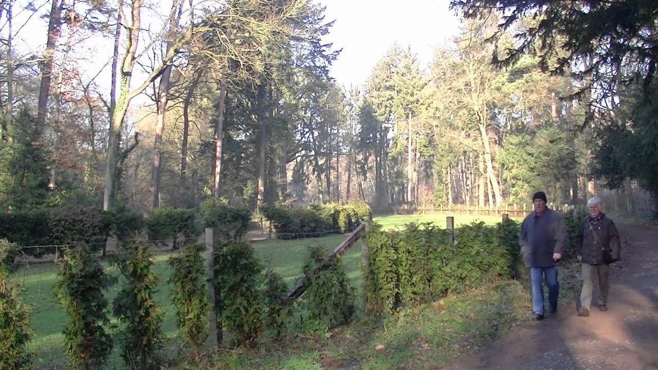 Kölner Stadtteile 