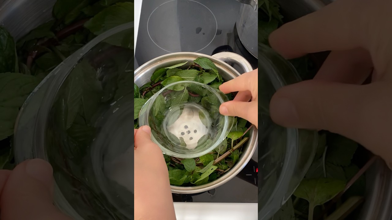 How to Make Mint Distillate at Home #mint_distillate