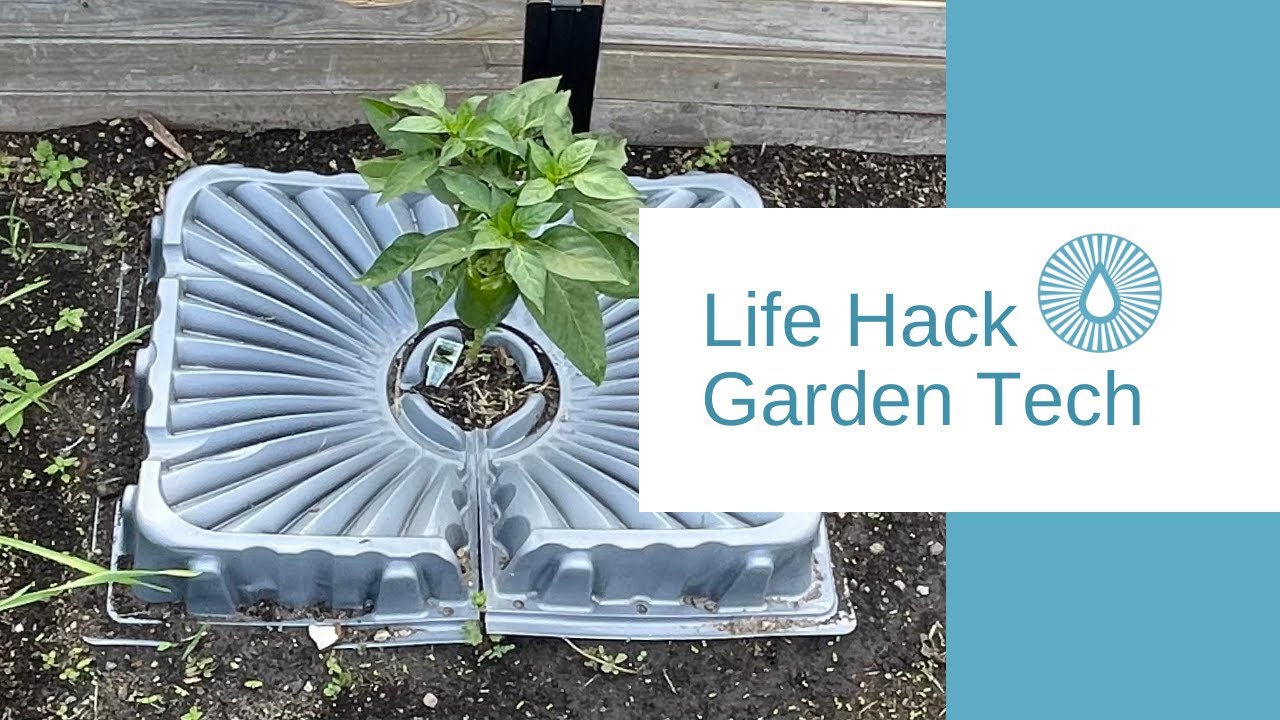 DRIP TECH by Direct Rapid Irrigation Program (DRIP) LLC