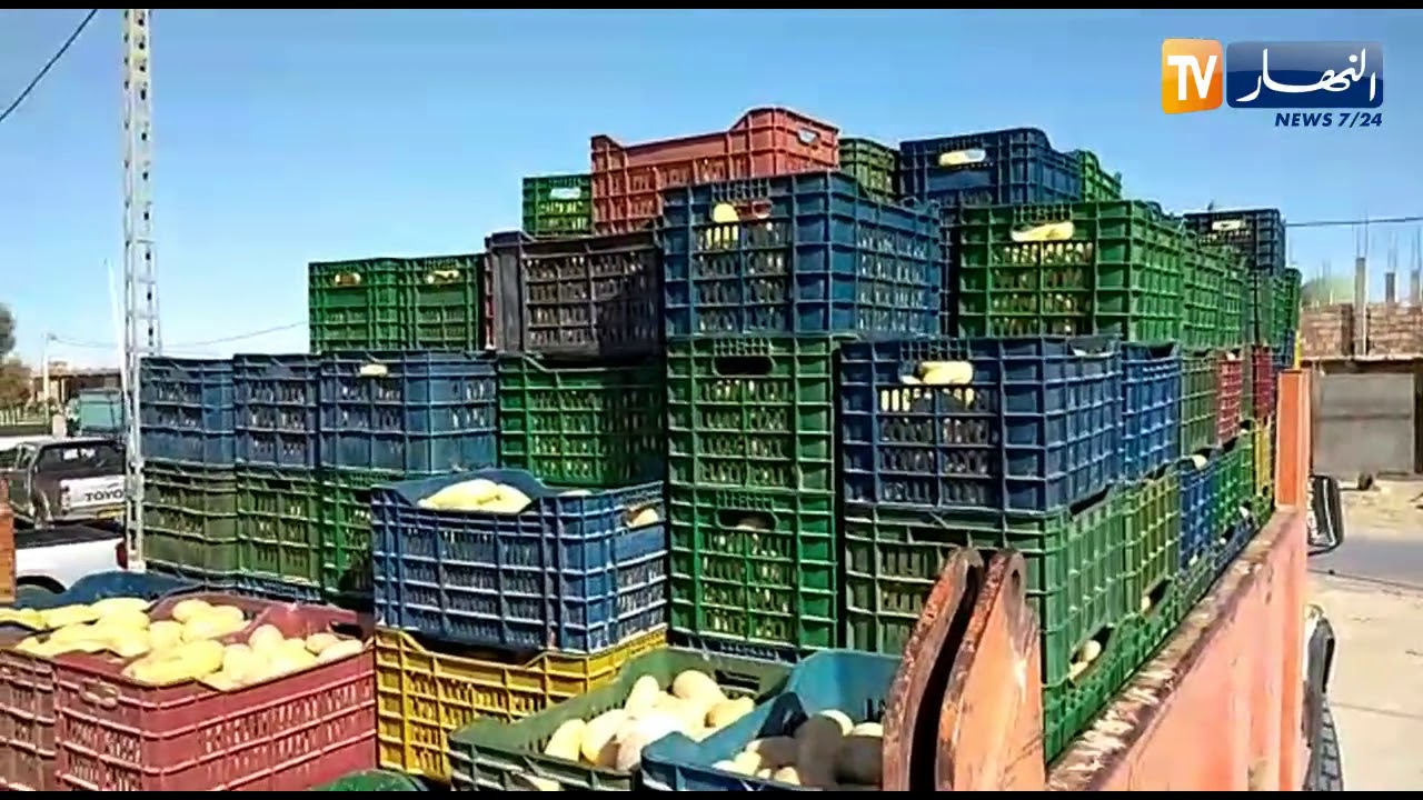 الوادي: انطلاق عملية تفعيل نظام ضبط المنتوجات الفلاحية لتخزينها ببلدية تغزوت