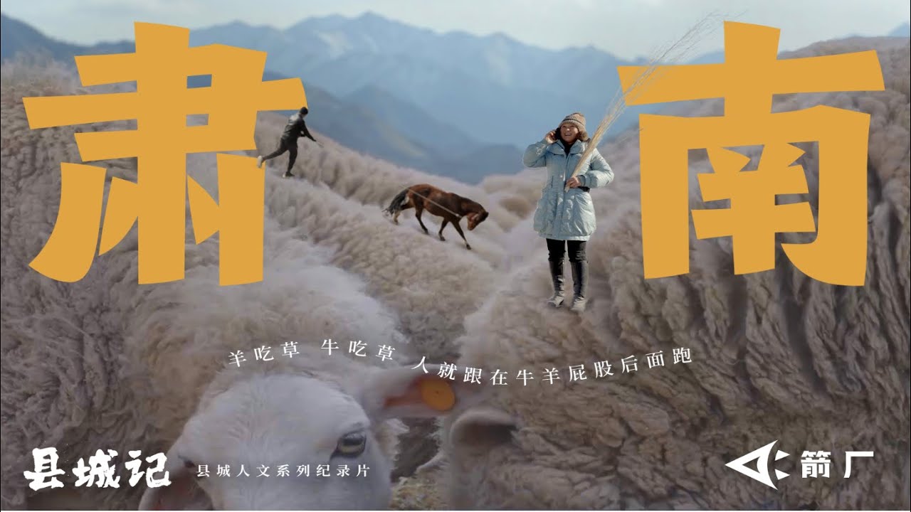 我从城市来到戈壁滩放牧：生活不止眼前的牛羊【縣城記】｜箭厂ArrowFactory Doc