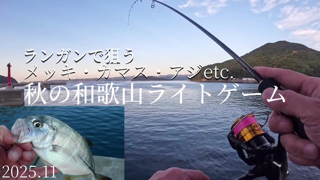和歌山の漁港は宝箱や！ライトゲームで魚種乱舞の1日」