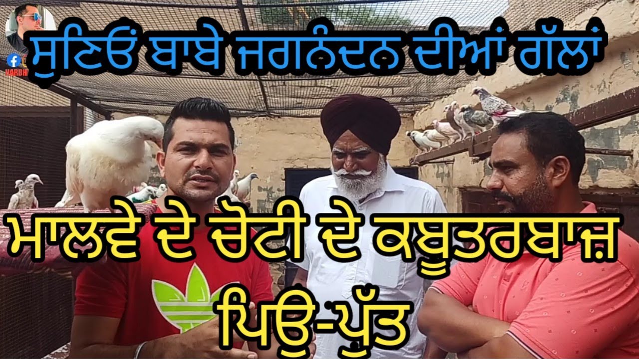 ਮਾਲਵੇ ਦੇ ਚੋਟੀ ਦੇ ਕਬੂਤਰਬਾਜ਼| Harbhej Sidhu|ਜਗਨੰਦਨ ਸਿੰਘ| ਗੁਰਪ੍ਰੀਤ ਸਿੰਘ|ਕਬੂਤਰਬਾਜ਼| Piegien Punjab|