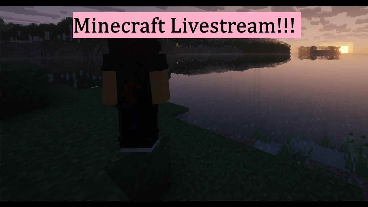 DAMN, We really be doing minecraft :3