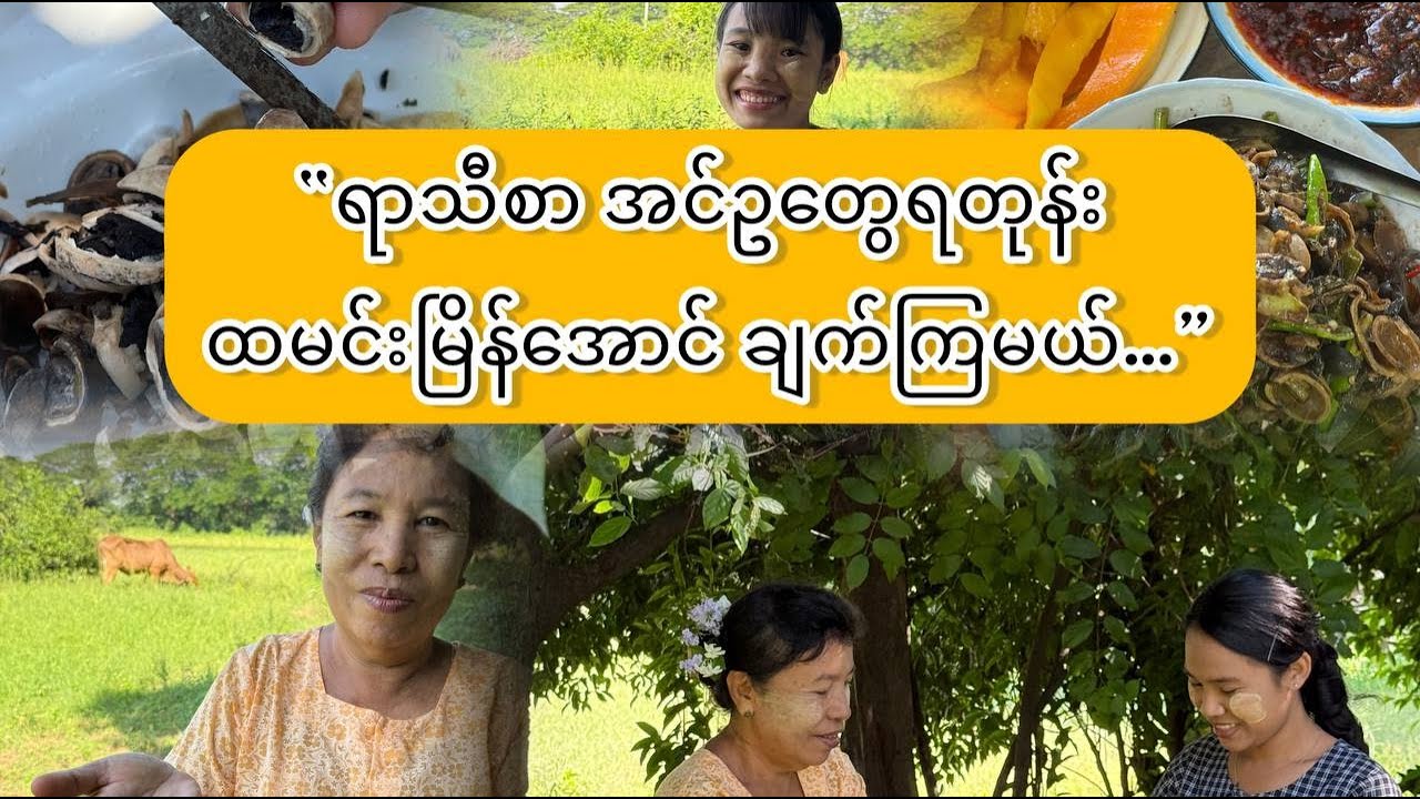 “ရာသီစာအင်ဥလေးနဲ့ မြိန်ပါပြီ ဒီနေ့တော့…”
