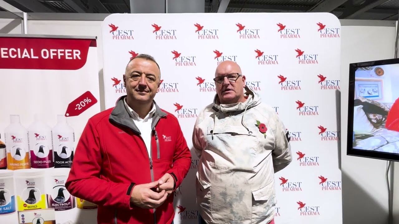2025 Doncaster Show - review from pigeon fanciers