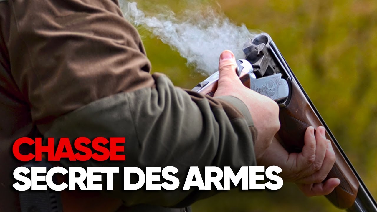 Les secrets des armes lisses : comment elles façonnent la chasse – Reportage société - BT