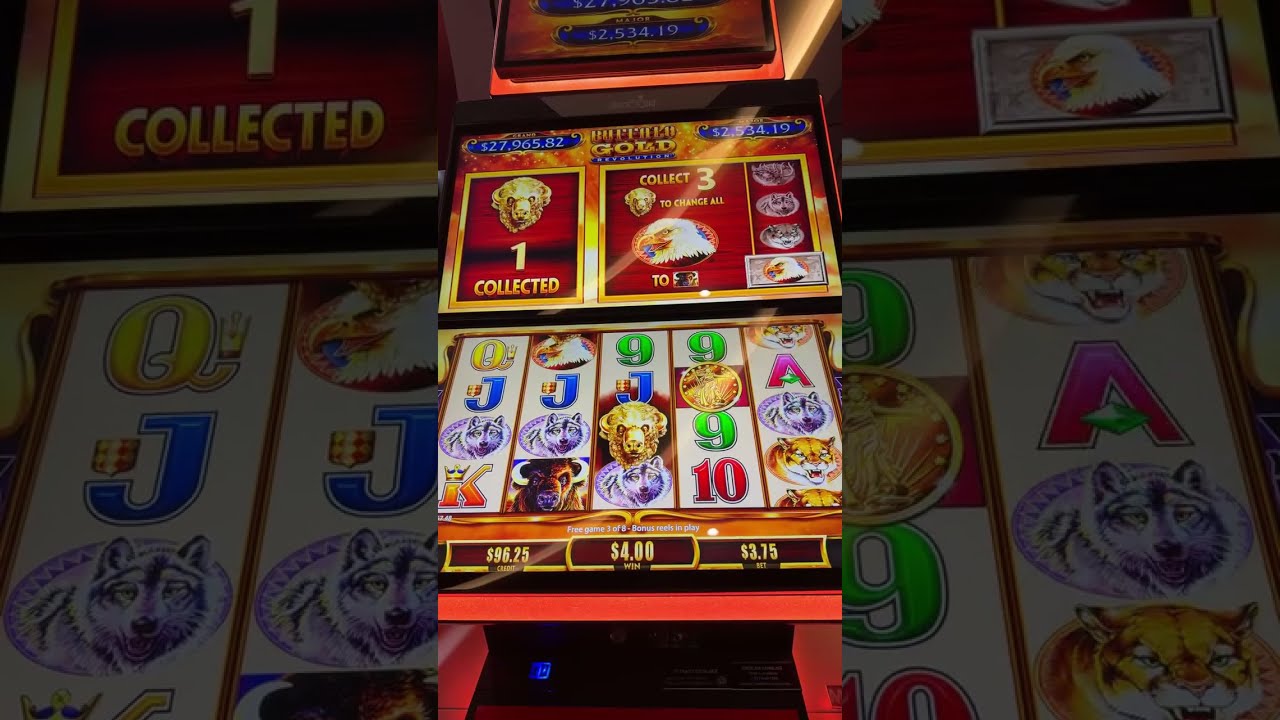 Casino Live 