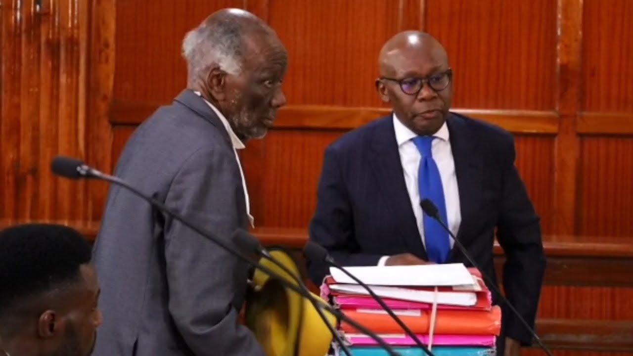 Lawyer Khaminwa Blames State for Case Delays, Says Judiciary is&nbsp;Underfunded