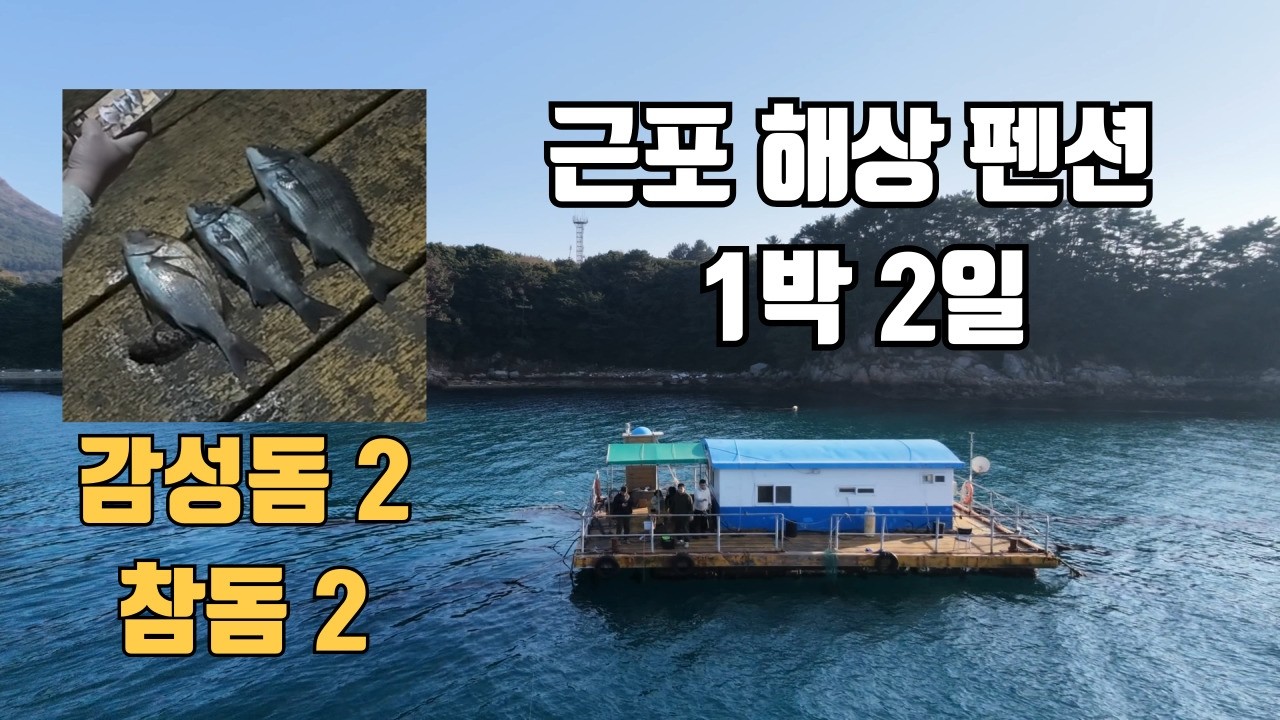 거제 근포 해상펜션 1박2일 감성돔2 참돔2