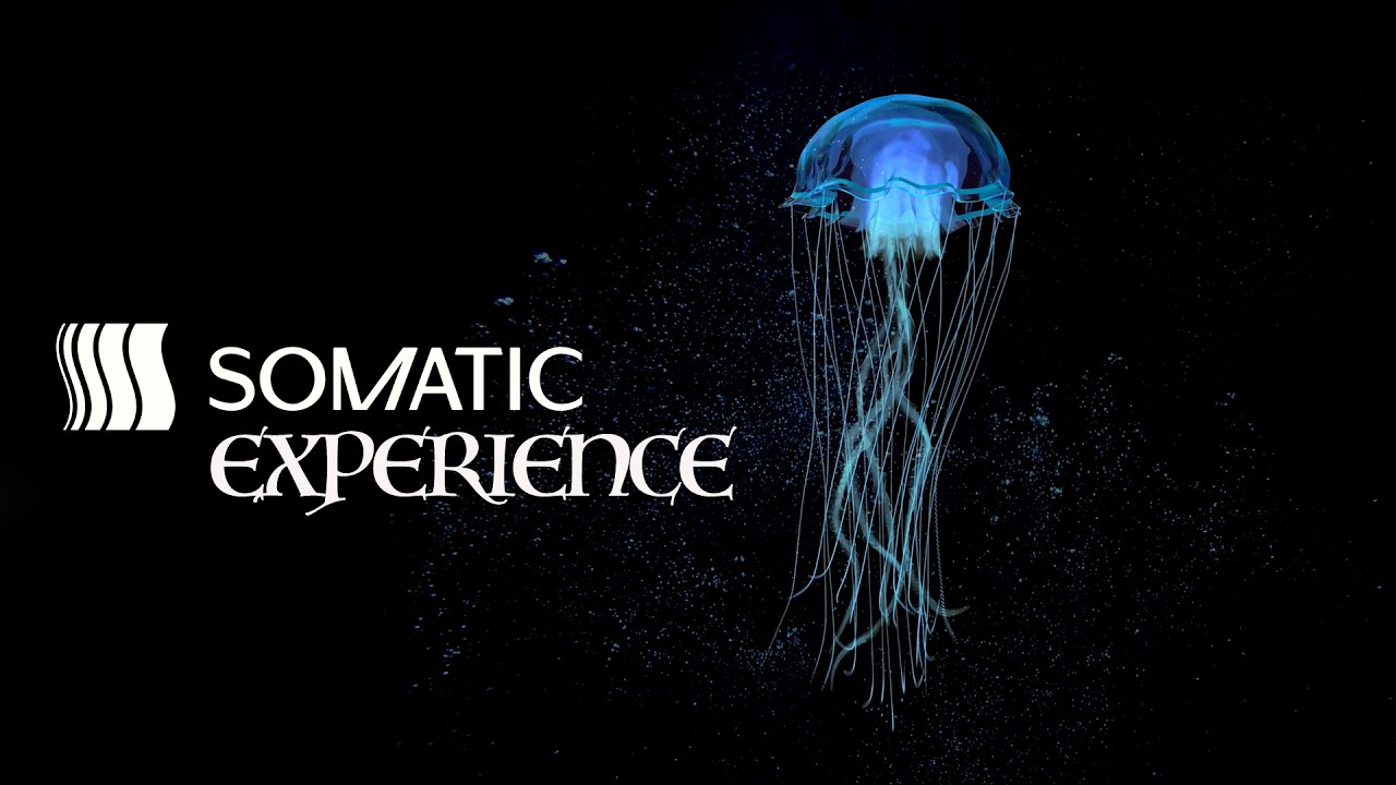 Fascial Sound Bath: Dissolve Somatic Memory Using Low Frequency Resonant Drone Tones