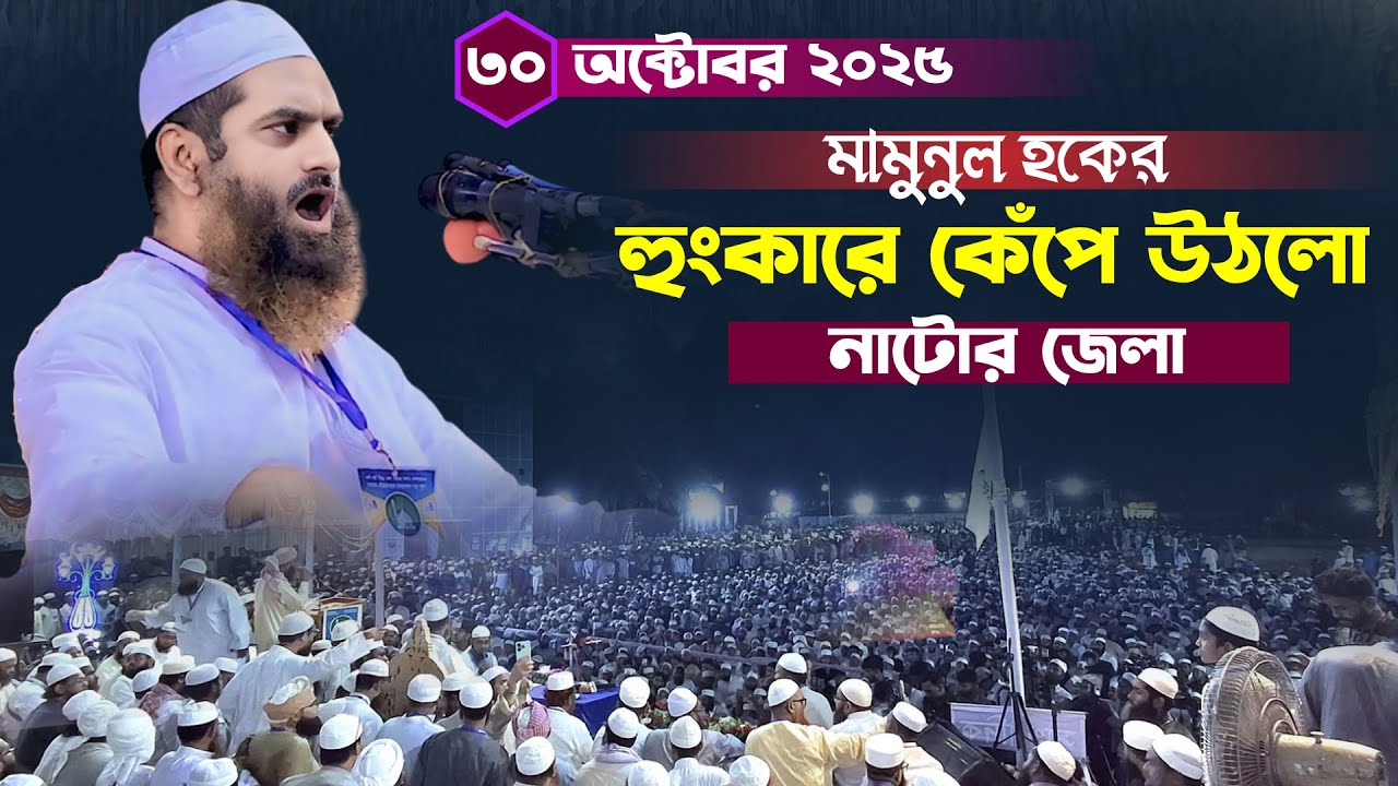 নাটোর সম্মেনলে গ'র্জ'ন দিলেন | আল্লামা মামুনুল হক | Natore Mamunul Haque | mamunul haque |