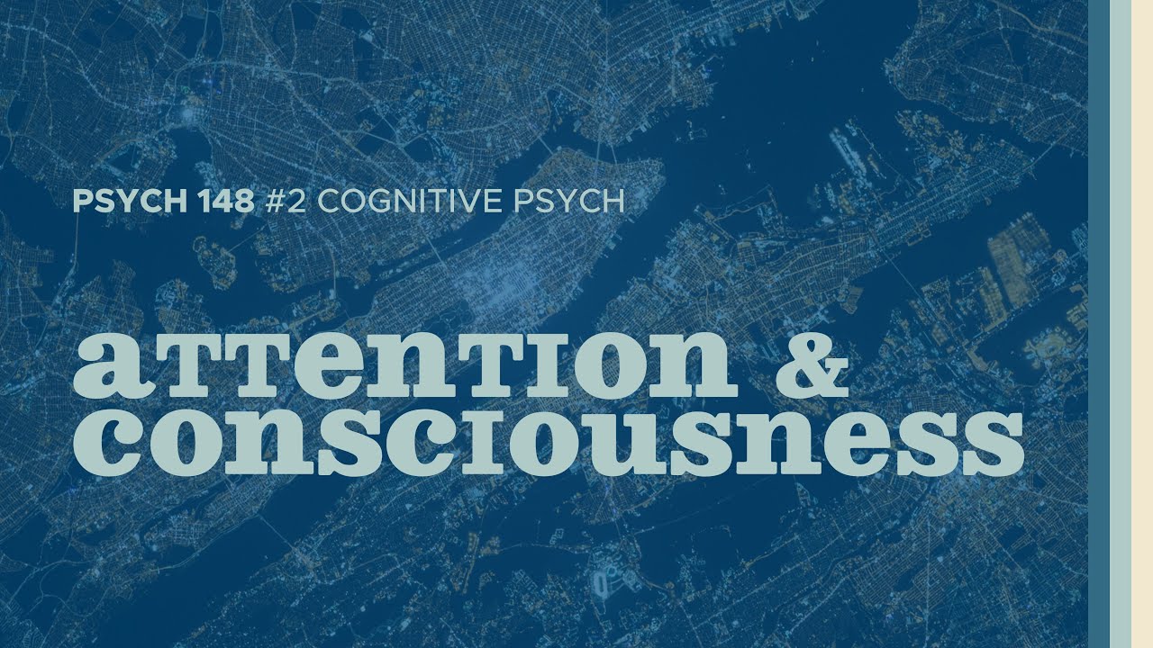 Stop, Look, Listen | Attention & Consciousness (Cognitive Psych #2)