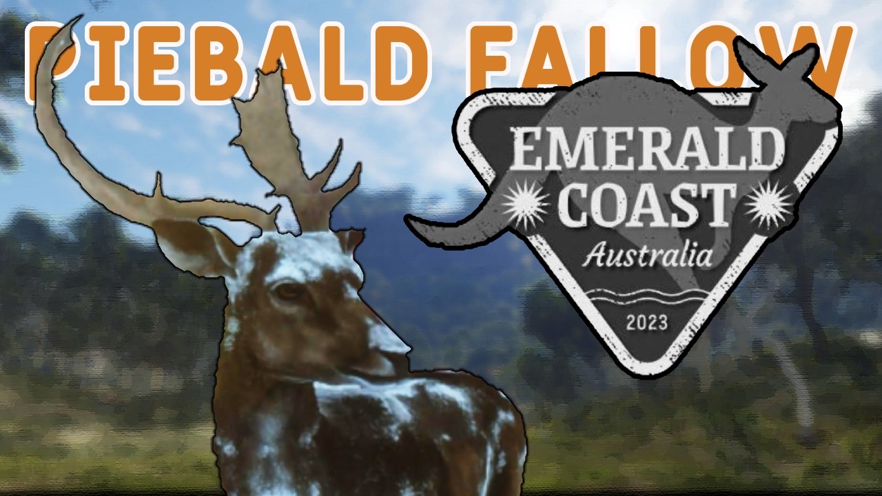 Emerald Coast Multiplayer Leads to a PIEBALD FALLOW BUCK!!!
