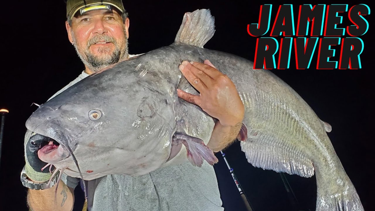 Hammerin-Down On Some James River BLUE CATFISH