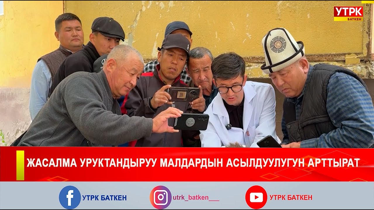 ЖАСАЛМА УРУКТАНДЫРУУ МАЛДАРДЫН АСЫЛДУУЛУГУН АРТТЫРАТ