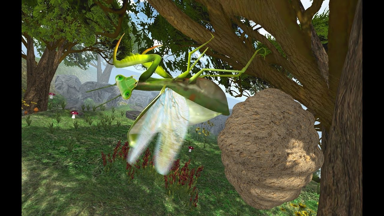Mantis Insect Life Simulator Gameplay Video Android