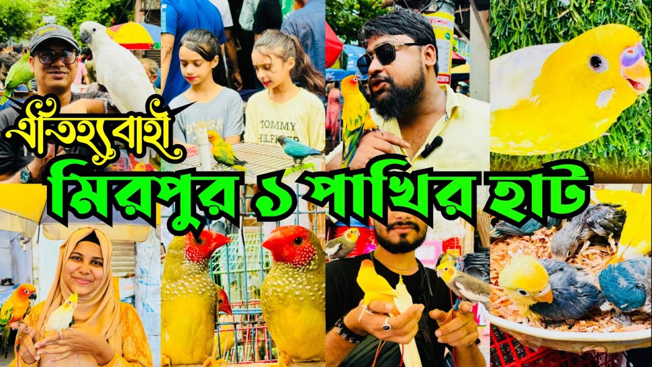 ঐতিহ্যাবহী মিরপুর ১ পাখির হাট জমে একাকার | Mirpur 1 Pakhir Hat @MurshedPets #viral