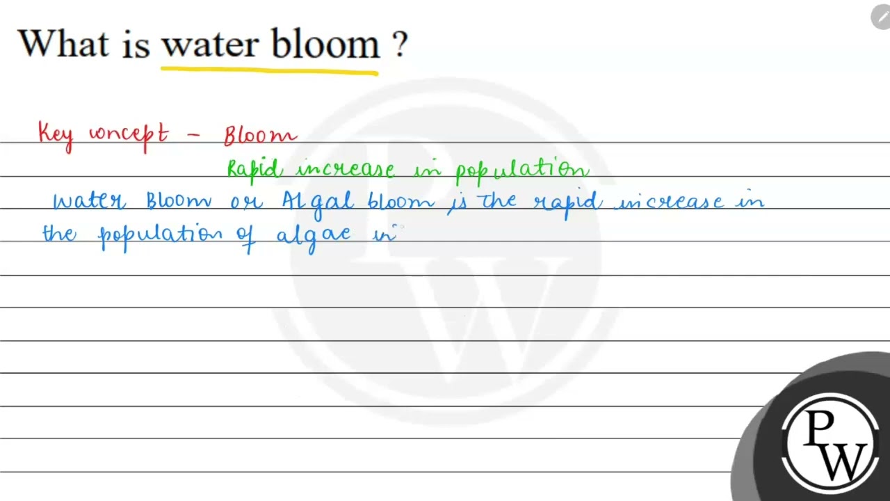 What is water bloom? WV