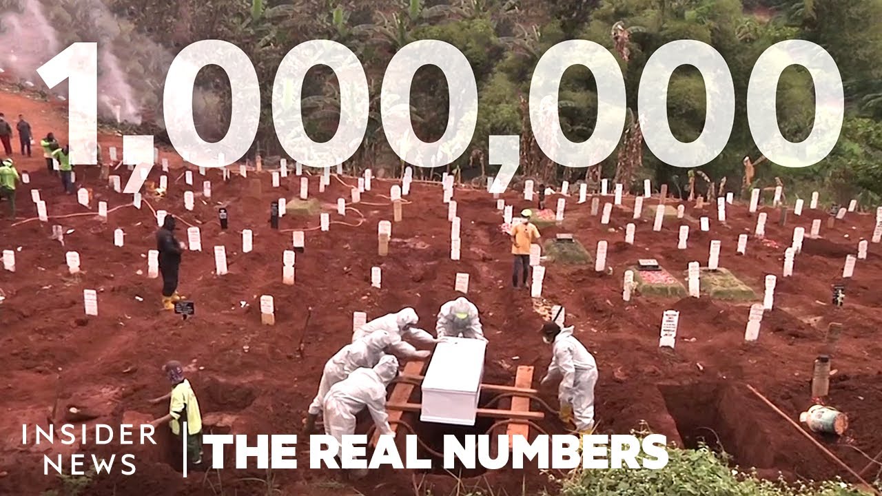 Why The Real Number Of COVID-19 Deaths Isn’t What You Think | The Real Numbers