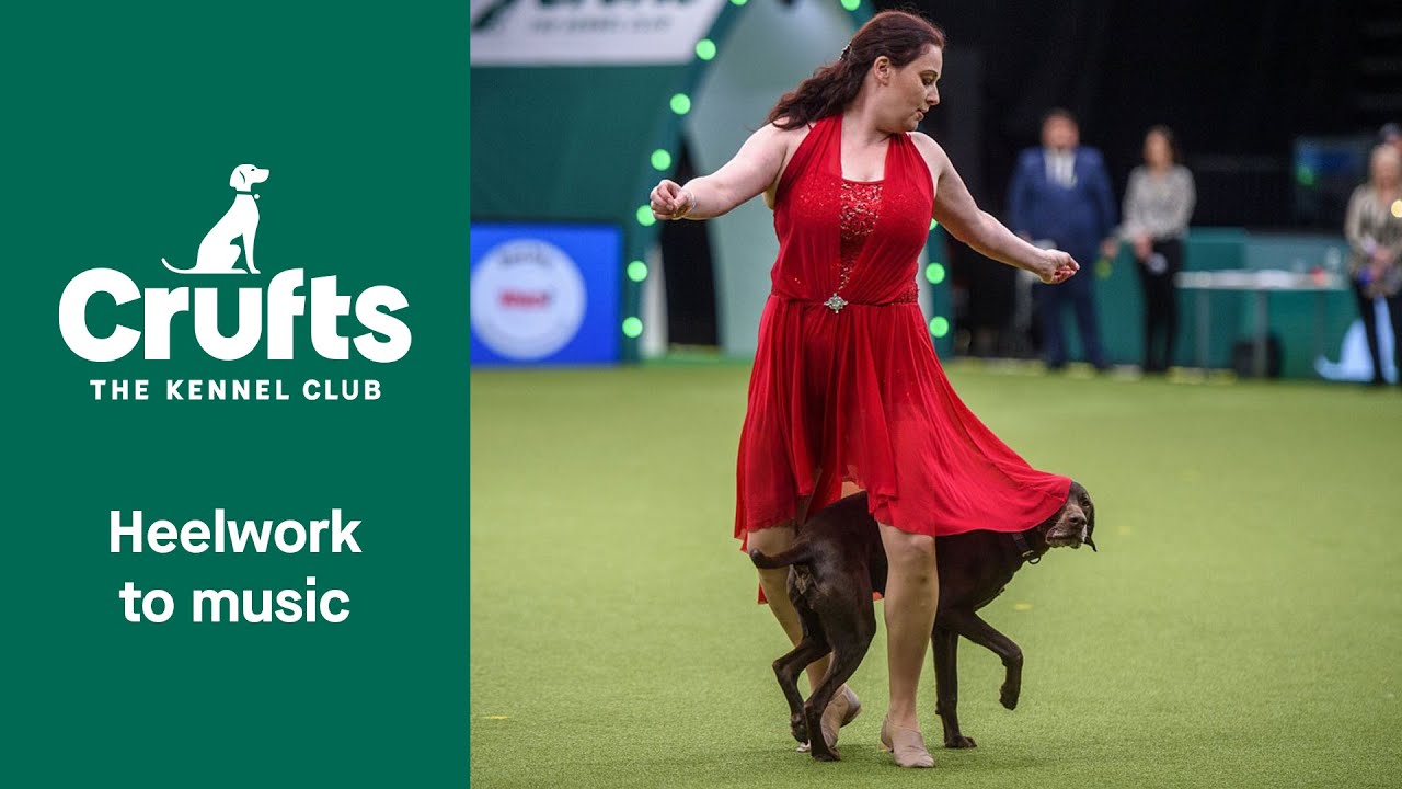Heelwork To Music Competition - Part 1 | Crufts 2022