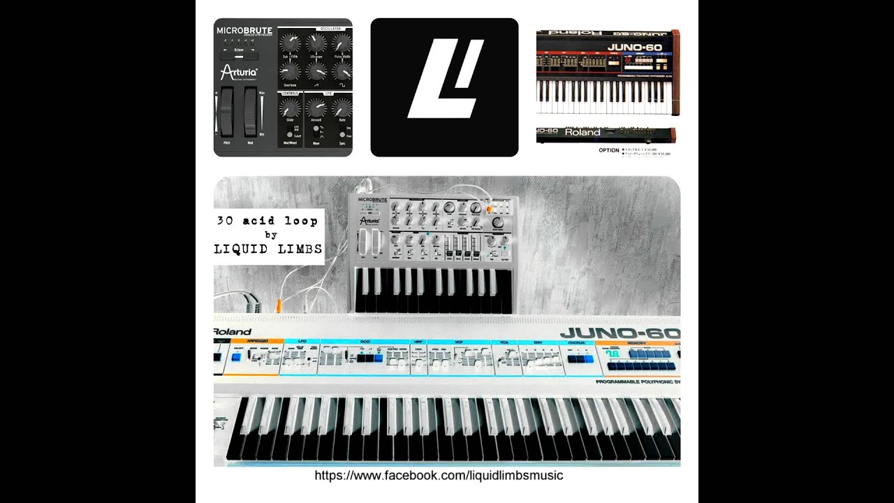 Acid - Tech loop samples by Liquid Limbs