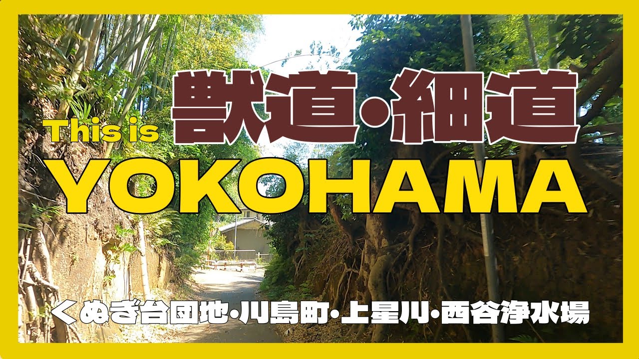 これが横浜道‼︎   獣道・細道　　くぬぎ台団地・川島町・上星川・西谷浄水場