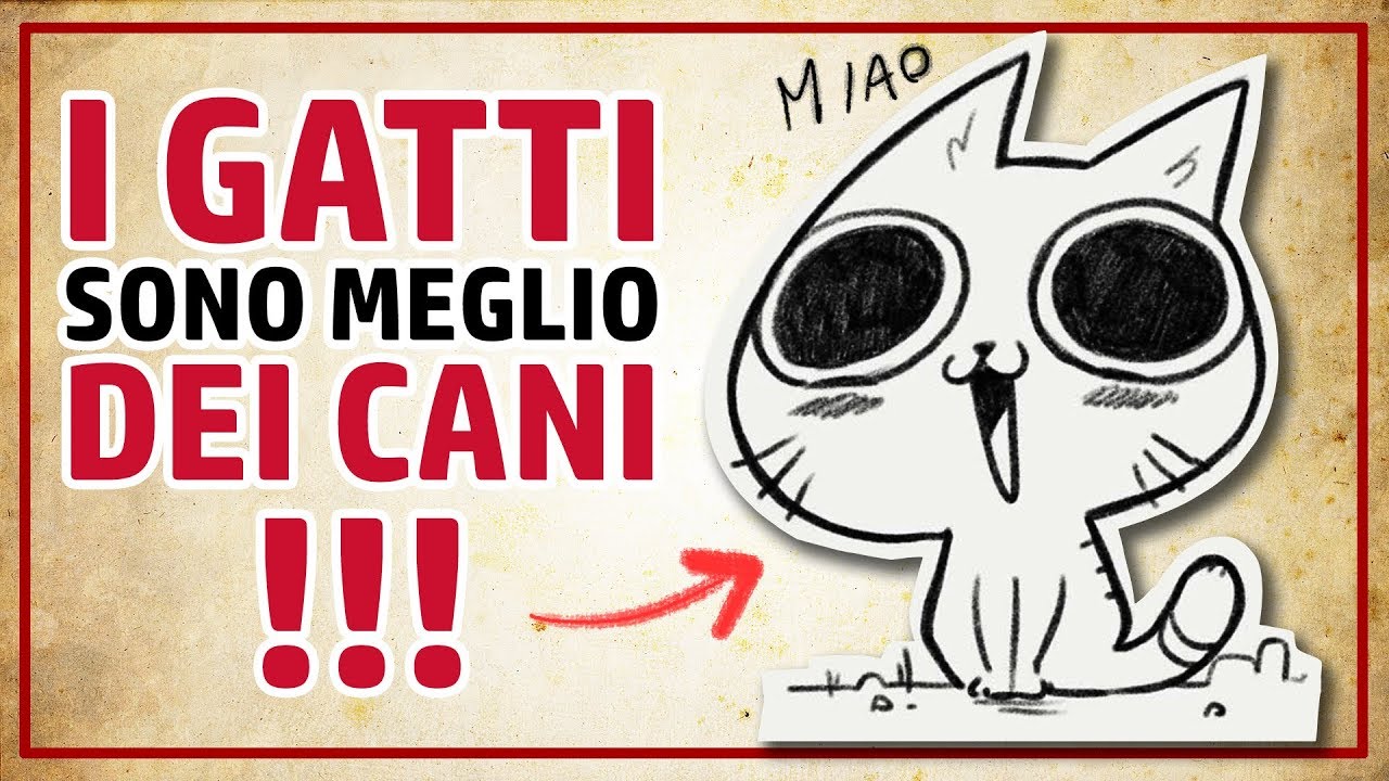 13 motivi per cui I GATTI SONO MEGLIO DEI CANI!