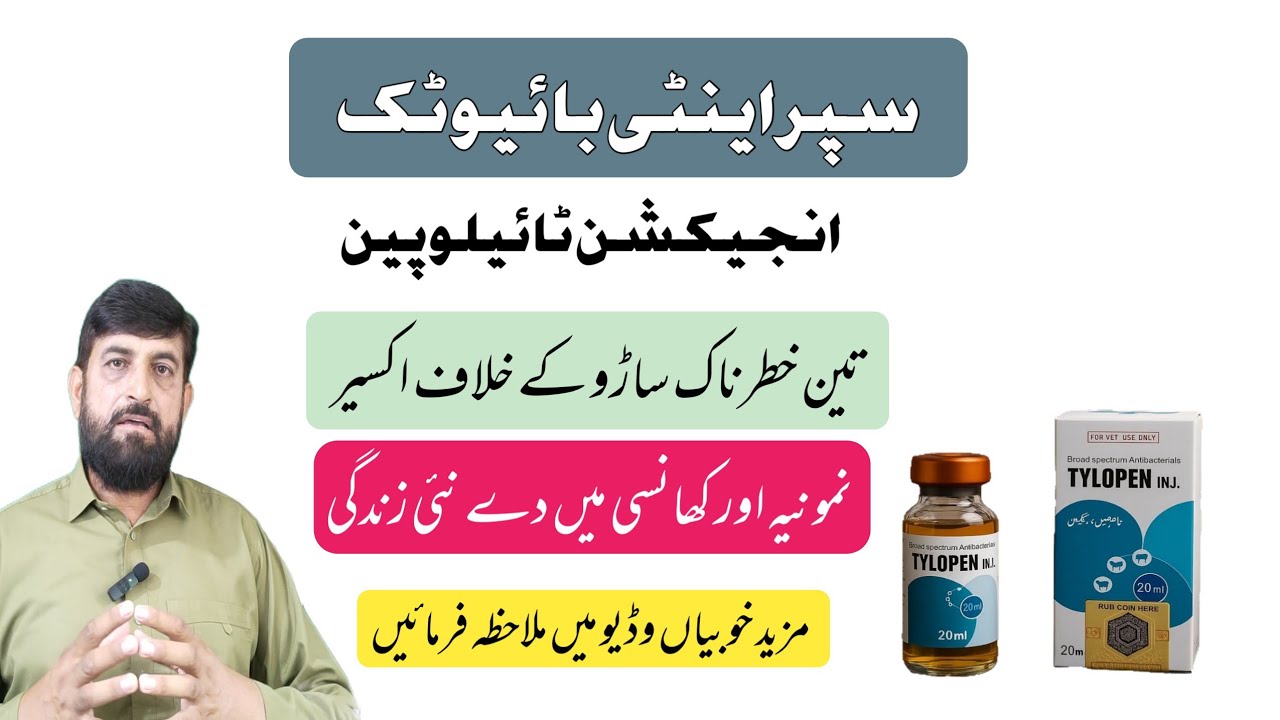 Injection TYLOPEN For Mastitis Pneumonia And PPR In Cow Buffalo Goats | How to use Tylopen | tylosin