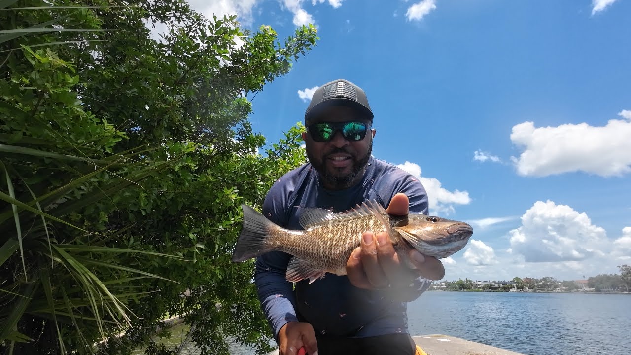 Fishing the St. Pete bridge with Mom Catching Mangrove snapper and Bait!!