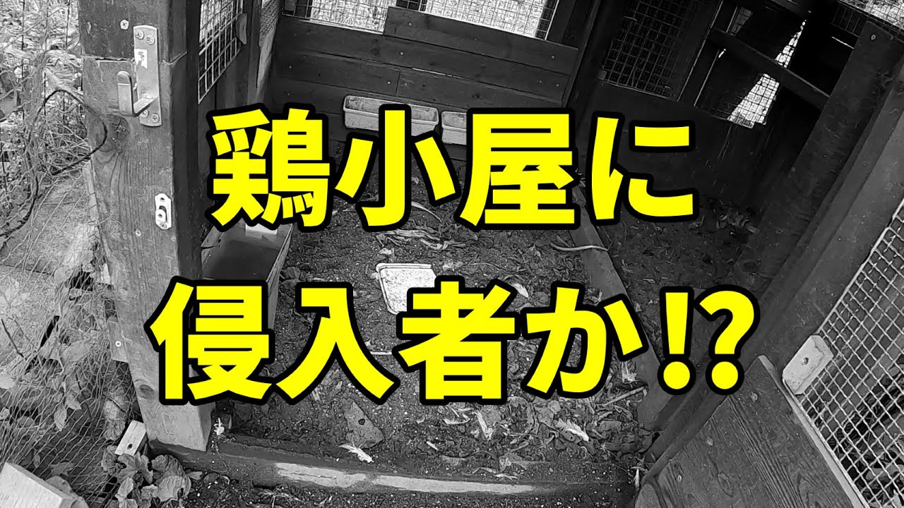 【愕然】定点カメラにとんでもない瞬間が映っていました… 336話目
