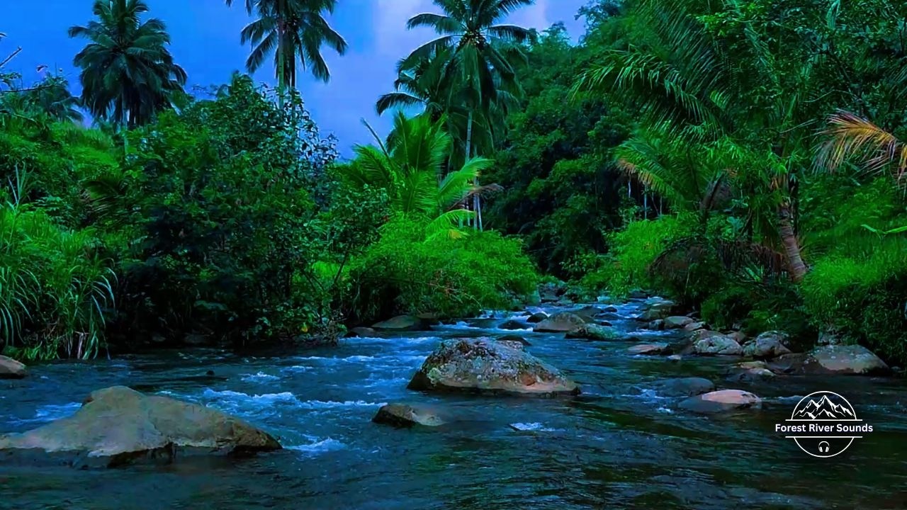 Fall Asleep Quickly with Forest River Sounds Sleep ASMR for Deep Sleep Calm