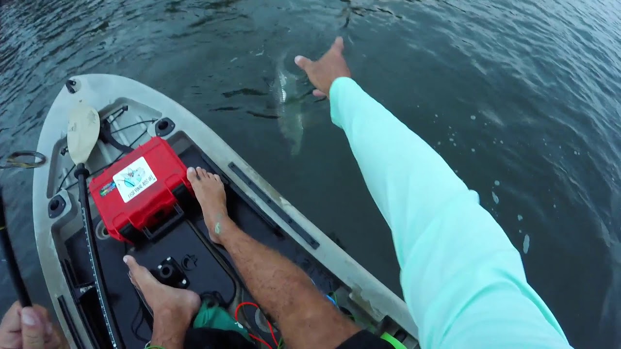 Vero Beach Kayak Fishing Charters How to catch tarpon pt 1