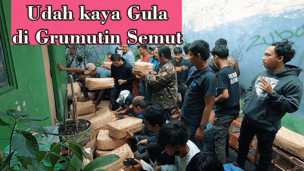 Edan.. edan..!!  Brutalllll .. Ga Ketulungan Rame Banget Yang beli Merpati di sini