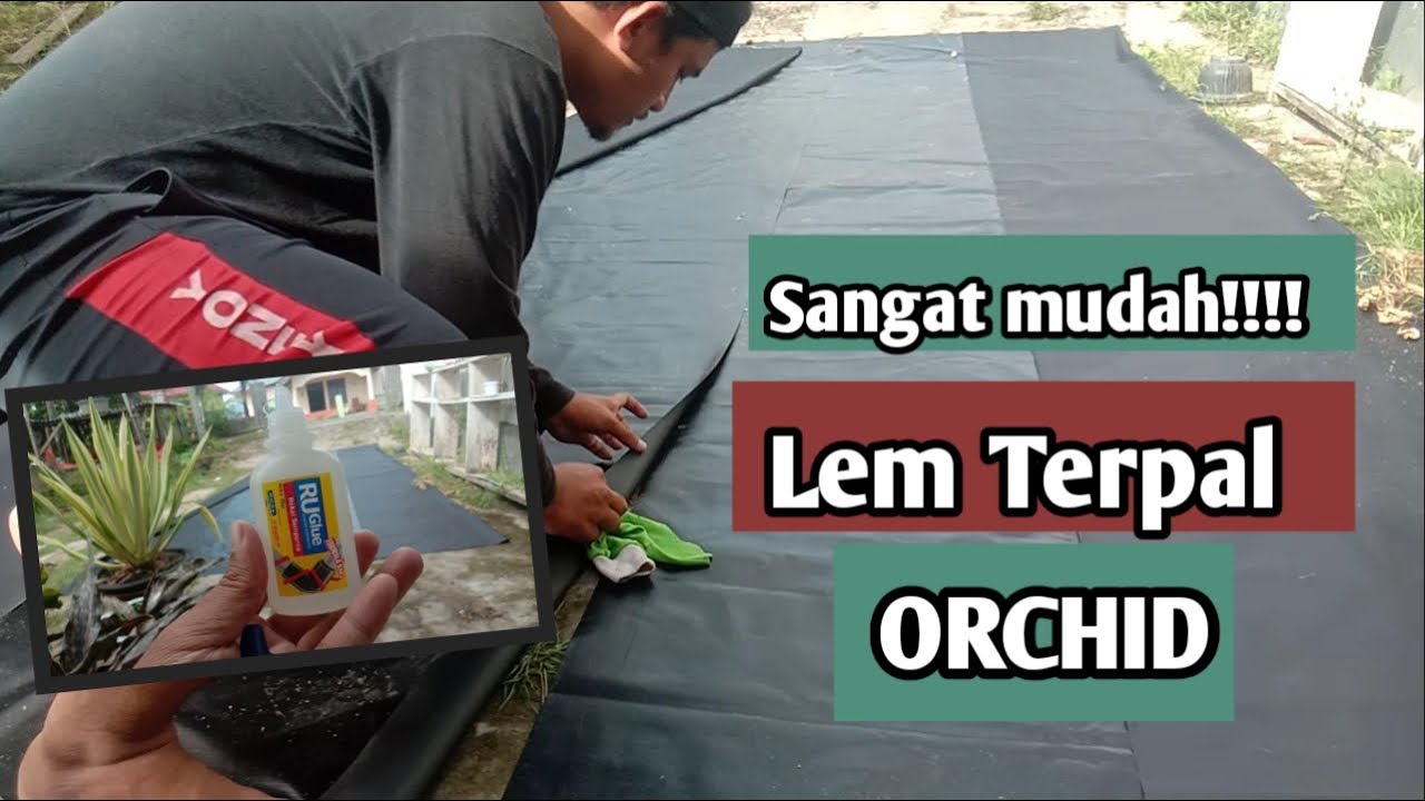 CARA MUDAH MENYAMBUNG TERPAL ORCHID DENGAN LEM//WPPERTANIAN