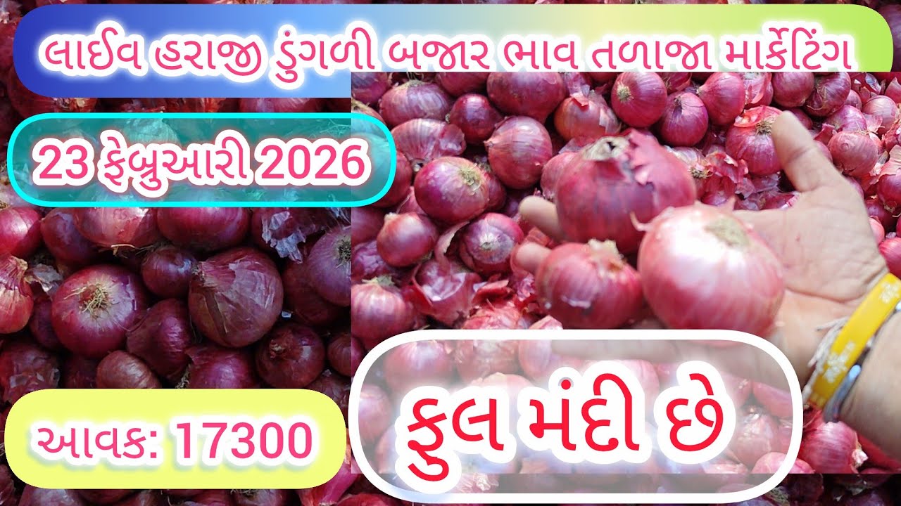23 February 2026 | ડુંગળી બજાર ભાવ તળાજા માર્કેટિંગ યાર્ડમાં | ડુંગળી બજાર ભાવ મંદી છે | 