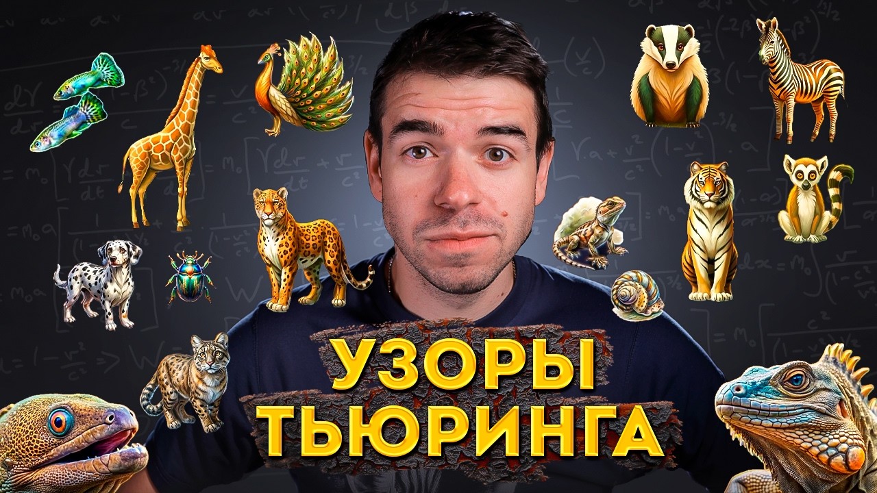 Узоры Тьюринга. Математика природы // Vital Math