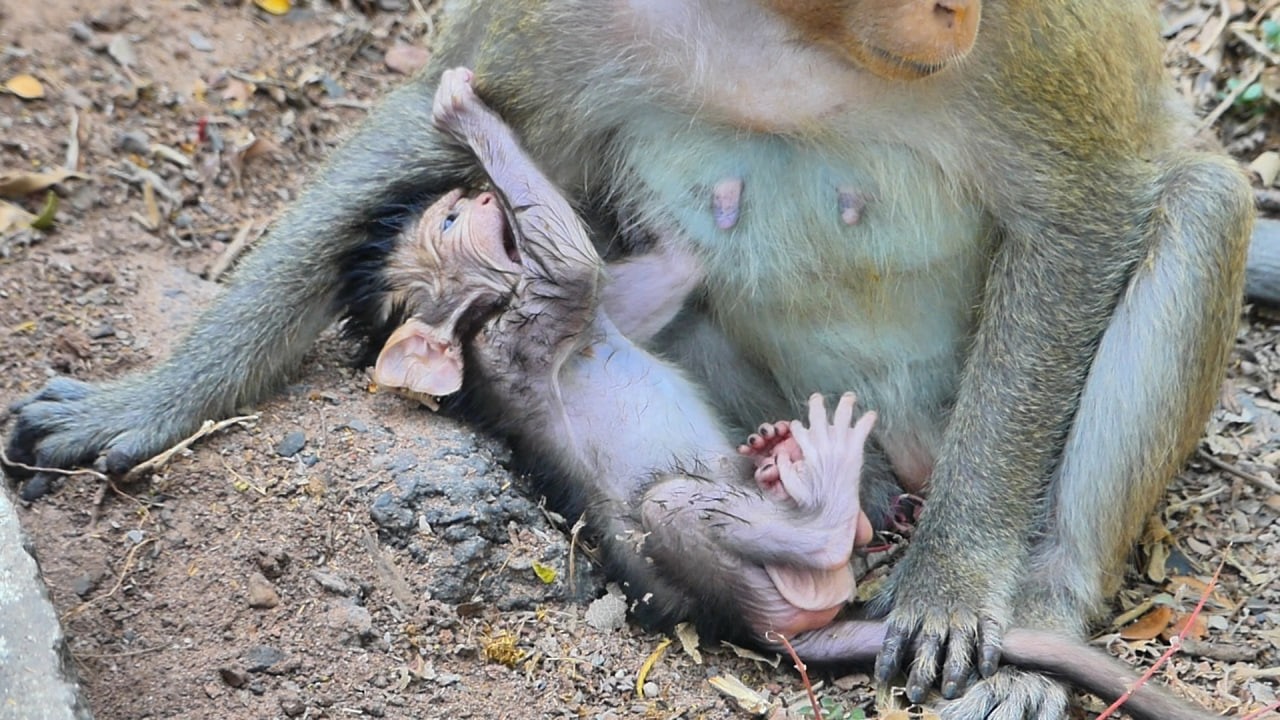 So adorable little Avery___ So lovely | AB Wildlife