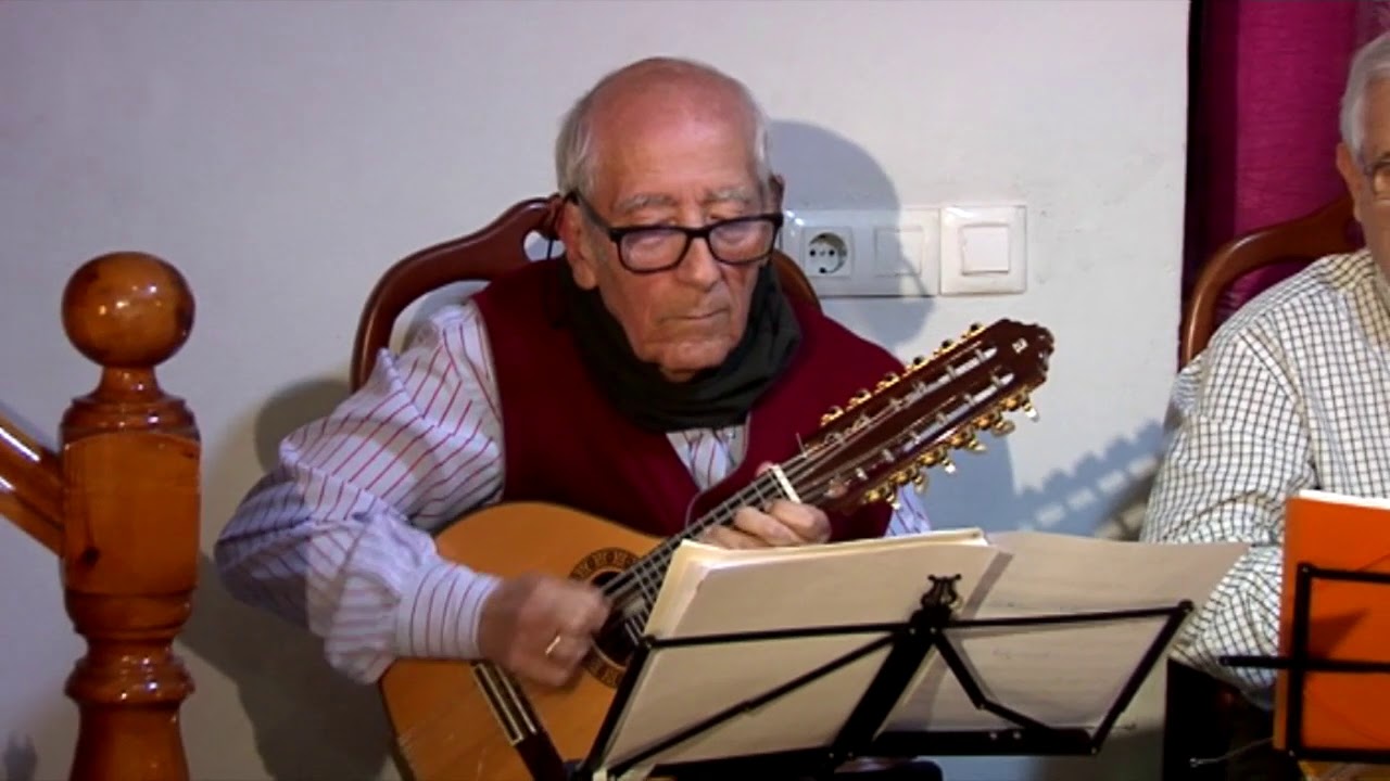 Olas del Danubio, J. Ivanovici.  Cuarteto Pulso y Púa Almeria