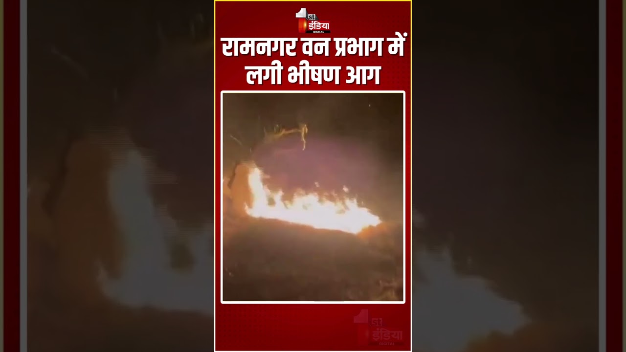 Ramnagar Forest Fire: रामनगर वन प्रभाग में लगी भीषण आग | Jammu & Kashmir News | J&K Fire