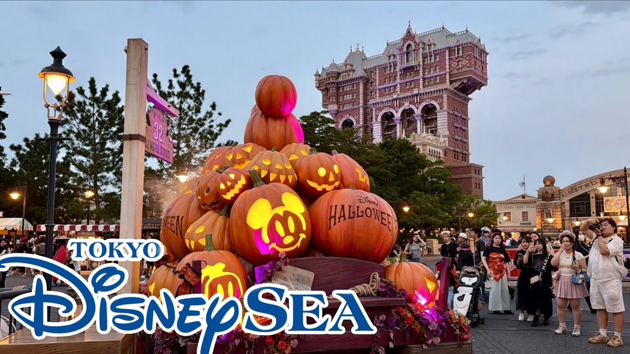 Каково это — спуститься по канату в Tokyo Disney Sea