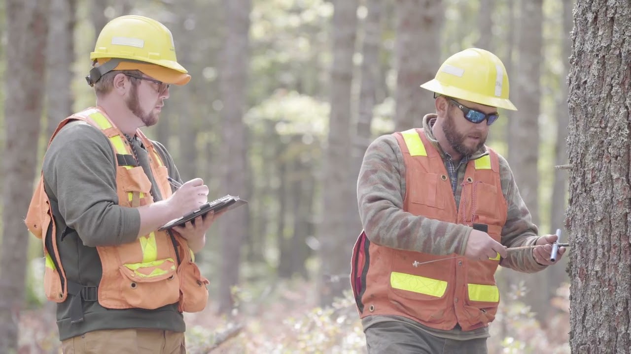 About Freeman Lumber!