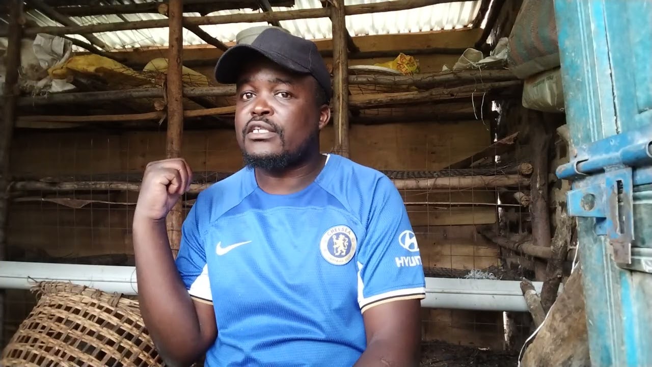 STARTING POULTRY FARMING WITH SMALL CAPITAL 