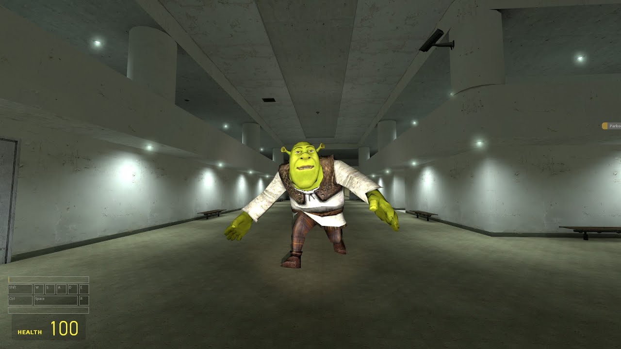 Shrek is chasing me in the shop