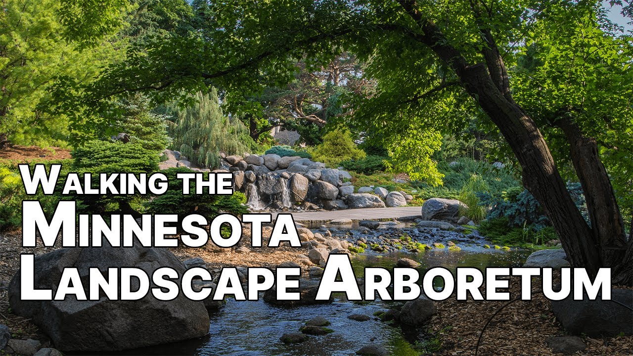 Walking the Minnesota Landscape Arboretum for Physical Health and Mental Health