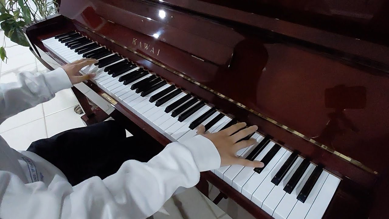 Chopin Nocturne in E-flat major (op. 9 no. 2) 