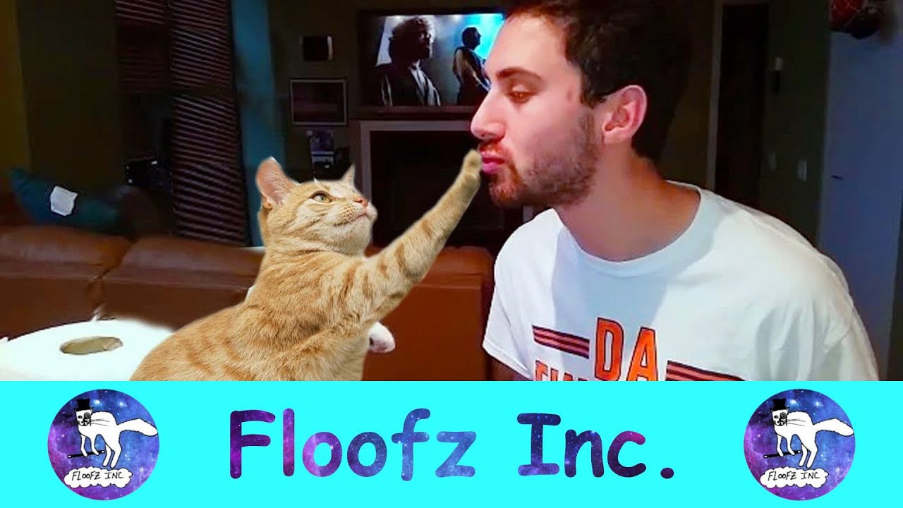 CATS HATE SINGING!