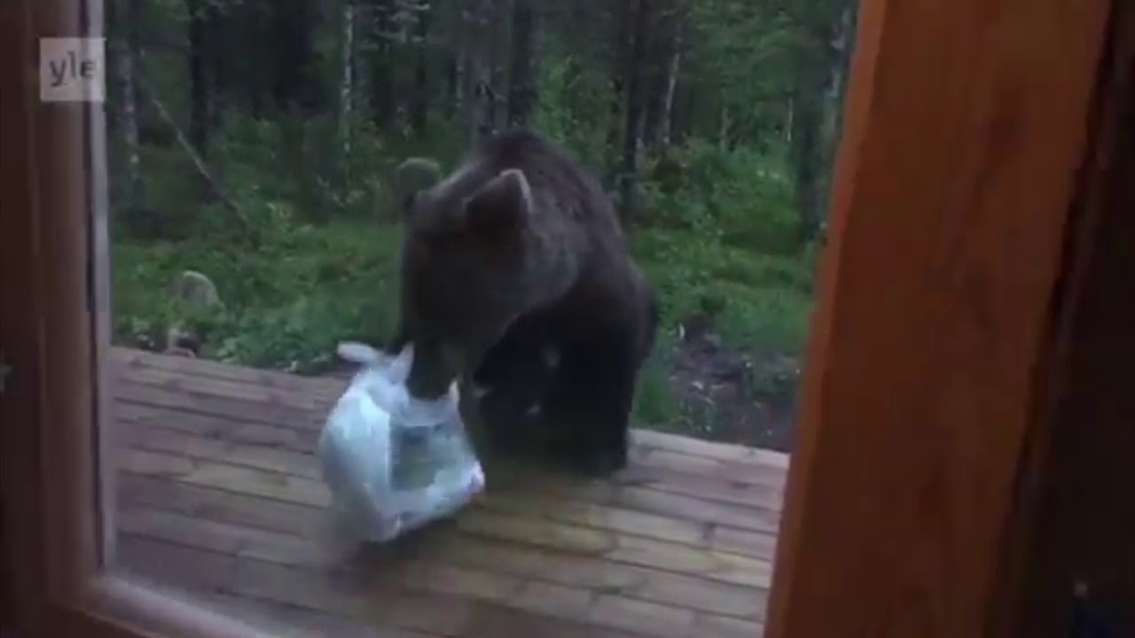 PERKELE SIIIHEN ET KOSKE SAATANA