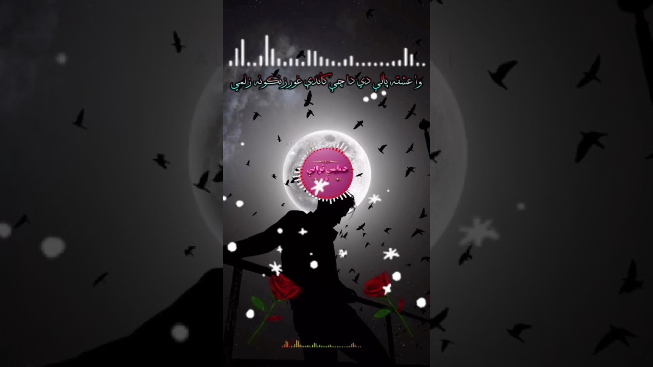 وا عشقه پالې دي دا چې کاندي غورزنګونه زلمي
