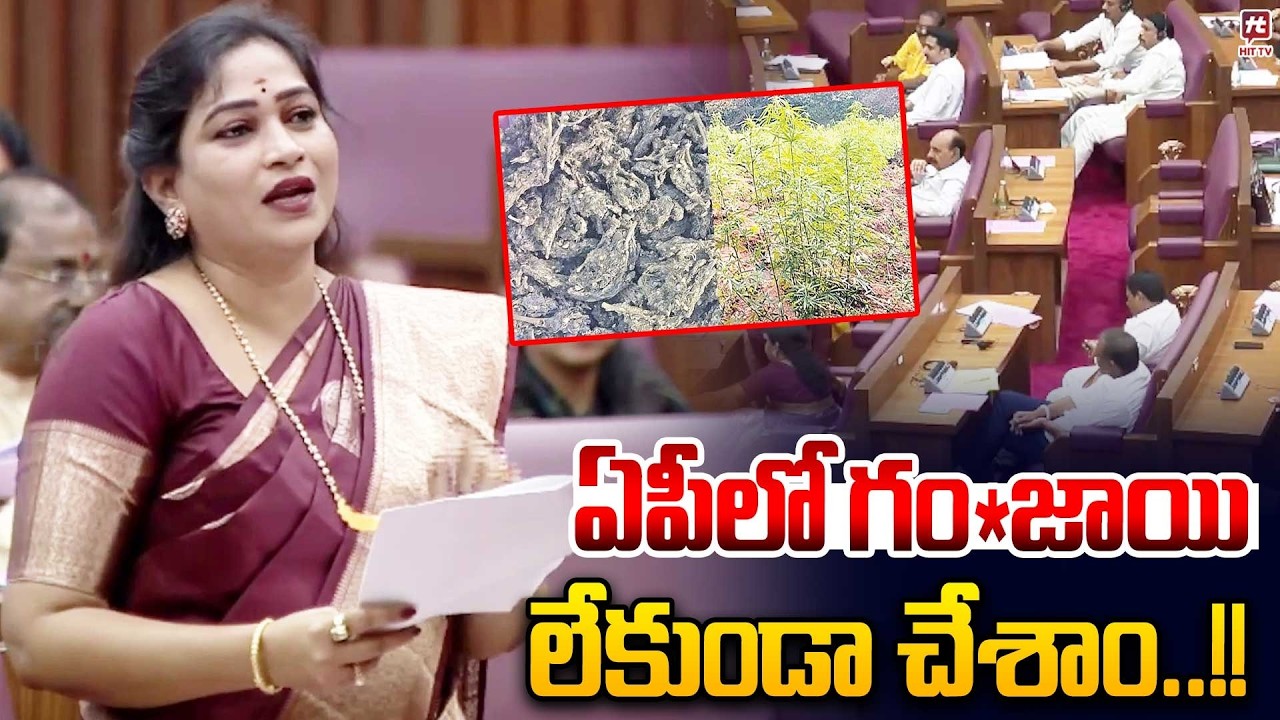 ఏపీలో గం*జాయి లేకుండా చేశాం..!! | Home Minister Anitha About Massive Ganja Seized | @Hit TV Clips
